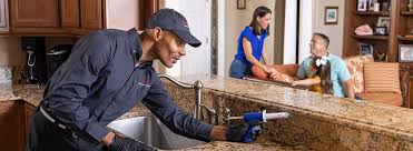 Reliable Pine City, MN Pest Control Solutions